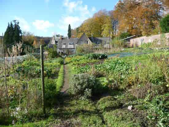 Monkton Wyld Court garden, rustic farm-to-table venue for corporate retreats and team building.