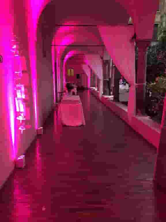 Sala Magenta