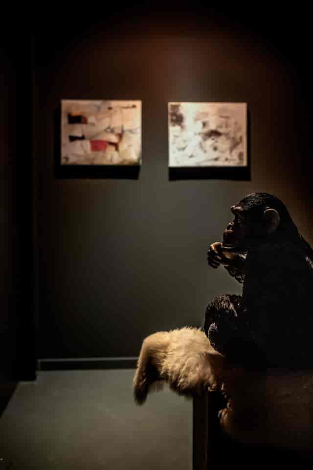Basement gallery in Spazio Cairoli with accent lighting for exclusive evening reception events.