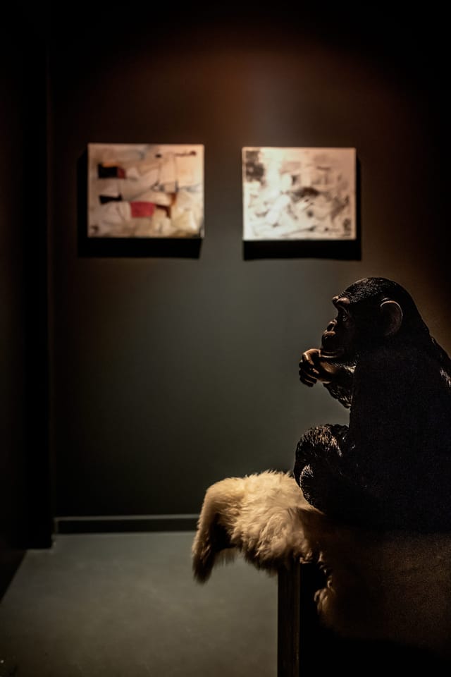 Basement gallery in Spazio Cairoli with accent lighting for exclusive evening reception events.