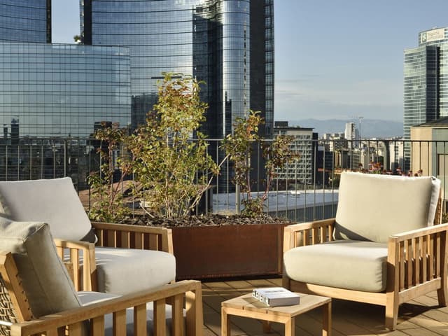 The Terrace