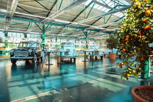 Olio restaurant