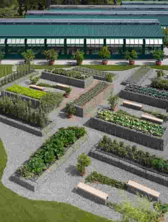 Glasshouses and vegetable gardens