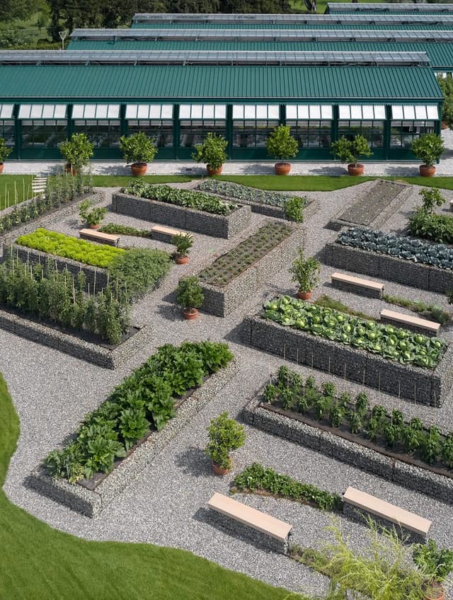 Glasshouses and vegetable gardens