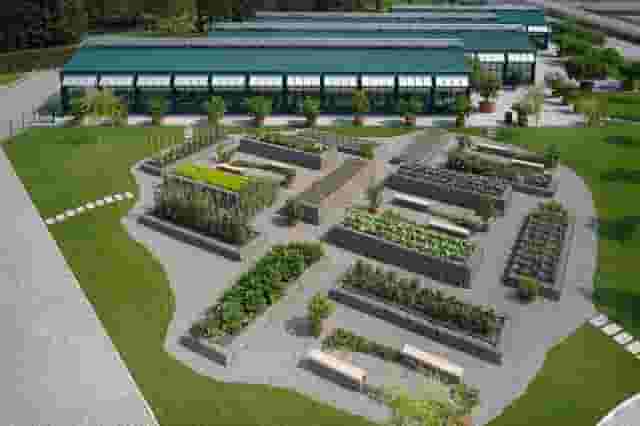 Glasshouses and vegetable gardens