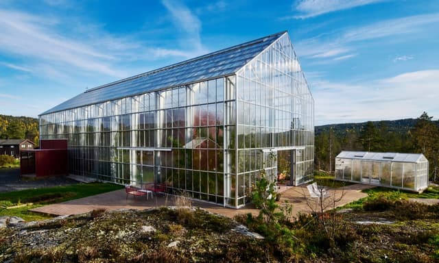 Glasshouses and vegetable gardens