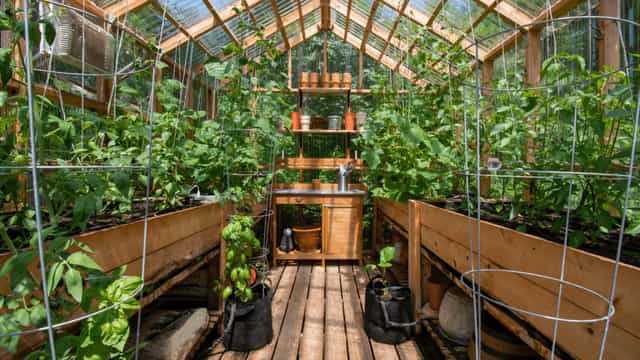 Glasshouses and vegetable gardens for farm-to-table culinary workshop or sustainability event.