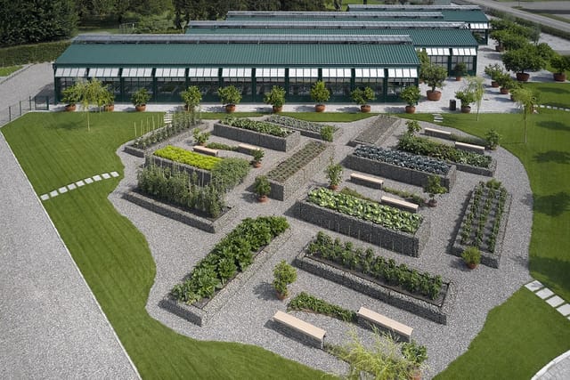 Glasshouses at The Box: biophilic breakout space for wellness retreats and networking events.