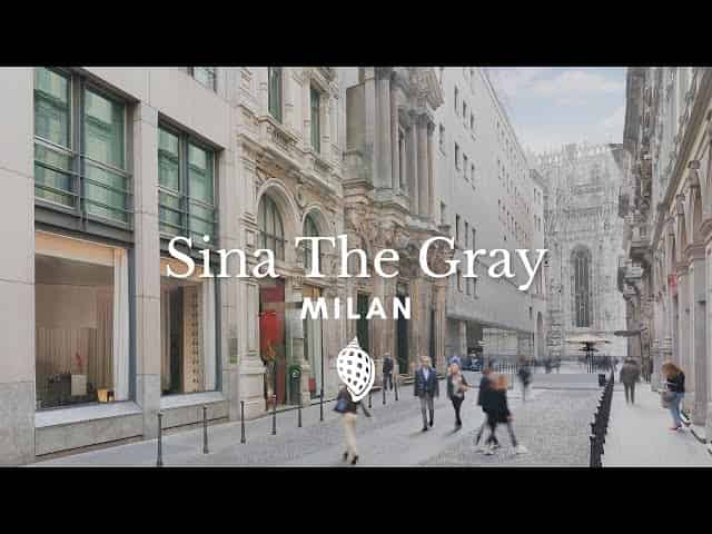 Sina The Gray