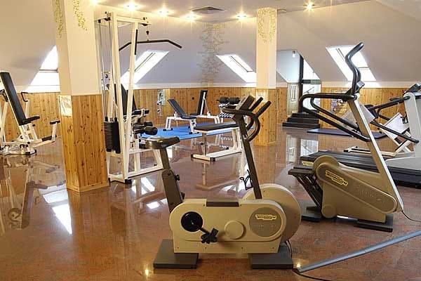 Hotel Excelsior Magenta fitness center, onsite gym amenity for business travel and event hosting.