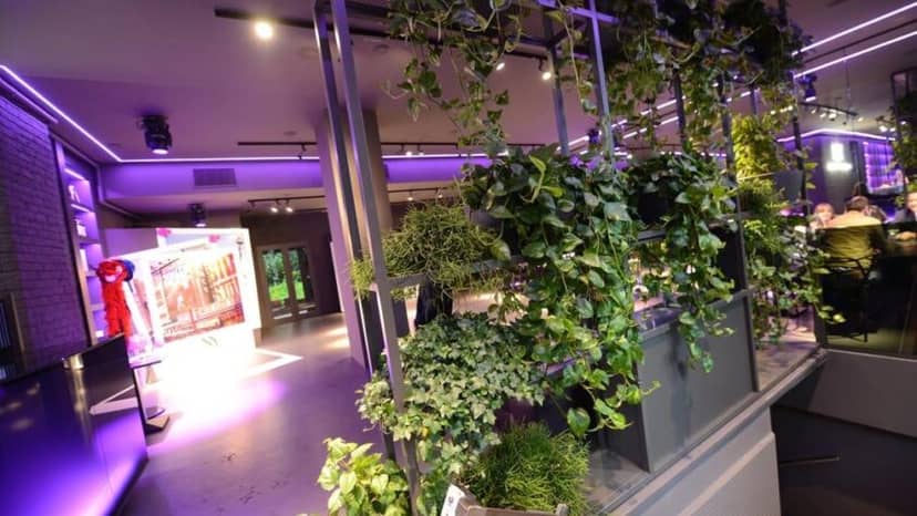 Modern biophilic event space in New York Lounge, Milan with lush greenery and purple mood lighting.