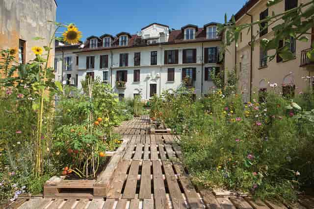 Rustic pallet garden for sustainable networking reception and corporate workshop.