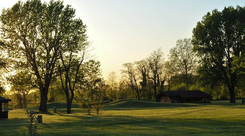 PARCO ESPOSIZIONI NOVEGRO: Tutto quello ...