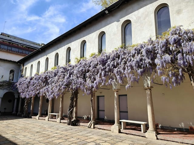 I Chiostri di San Barnaba - >I CHIOSTRI DI SAN BARNABA</a>