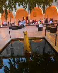 Christmas Party Venues