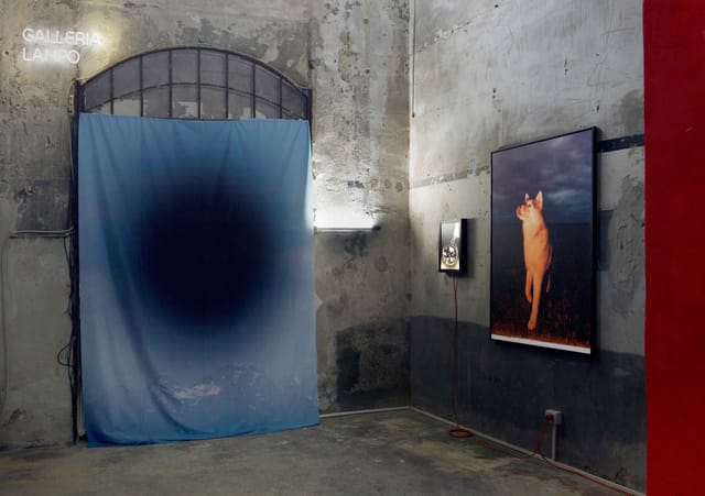 Industrial art gallery space at Galleria LAMPO, ideal for exclusive evening receptions and events.
