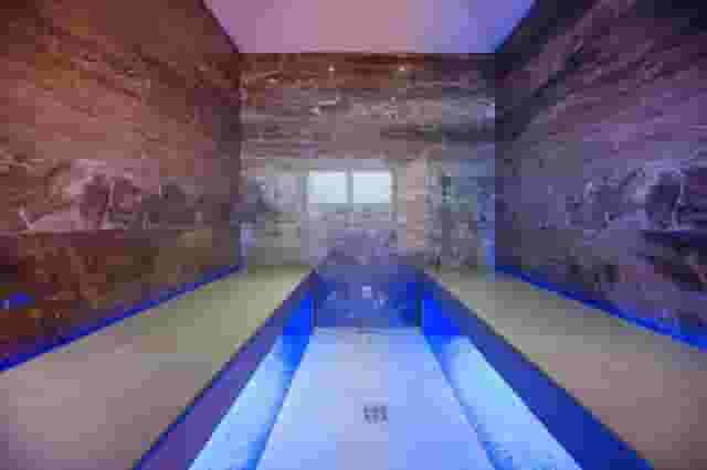 Wellness Center