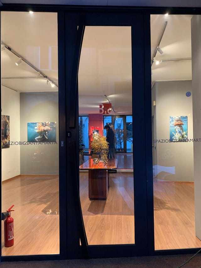 Spazio Big Santa Marta gallery venue for boutique networking and private product showcases.