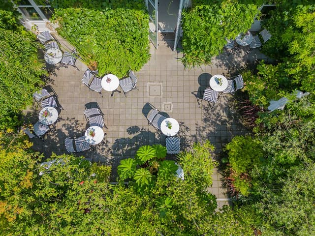 Giardino