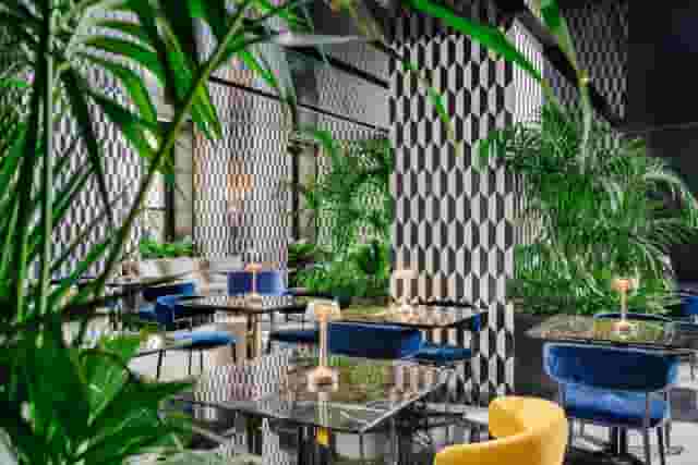 Mandarin Garden