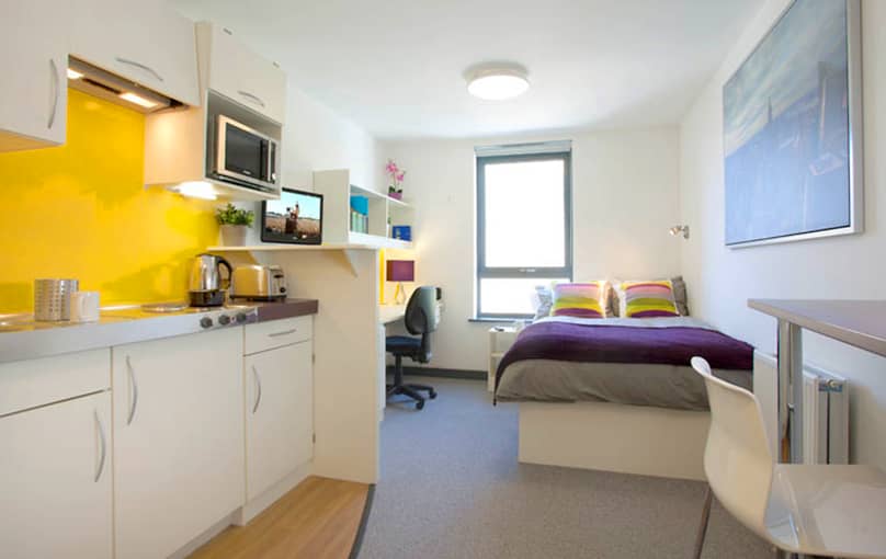 The Nest Studios: Compact, modern unit for corporate housing and event accommodation.