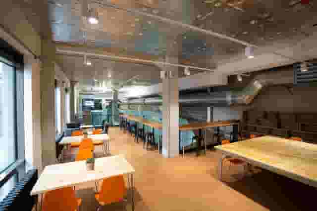 The Nest Studios