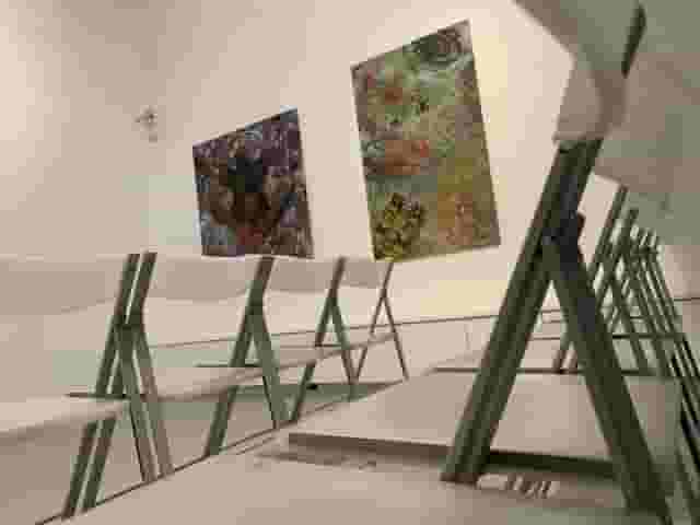 The Muse Gallery