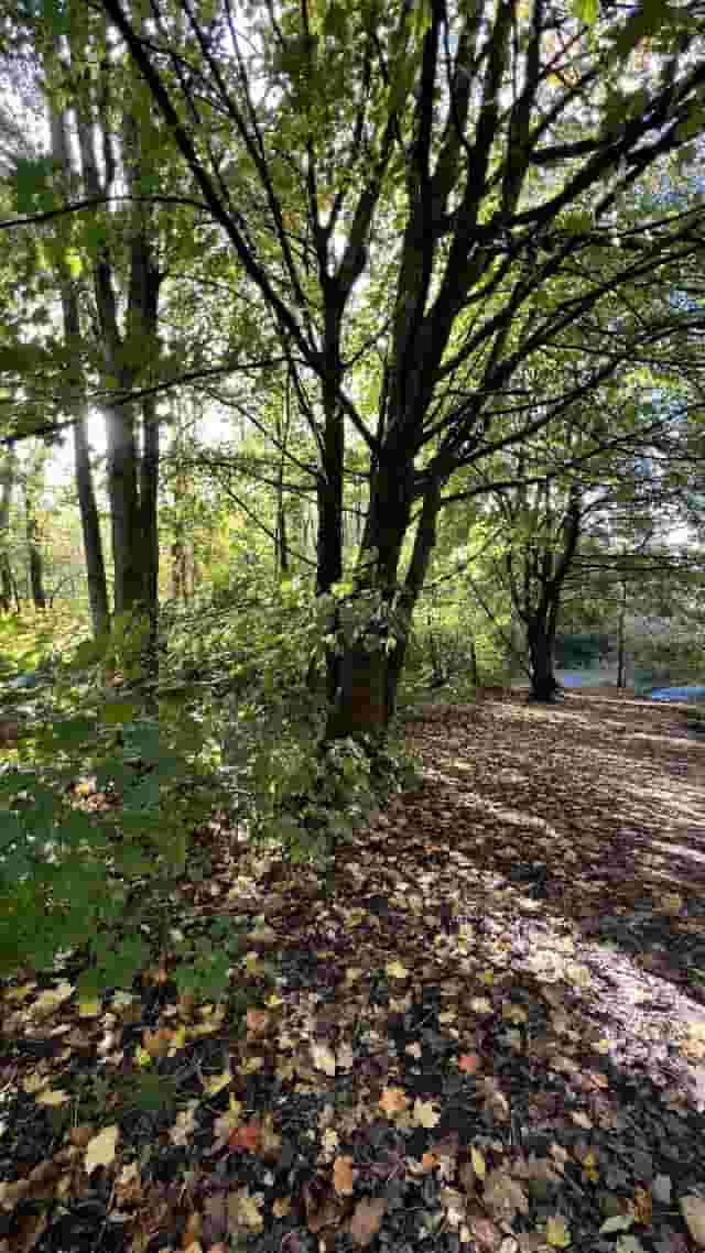North Manchester Golf Club