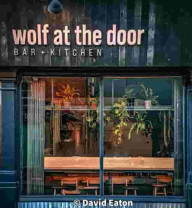 Wolf At The Door