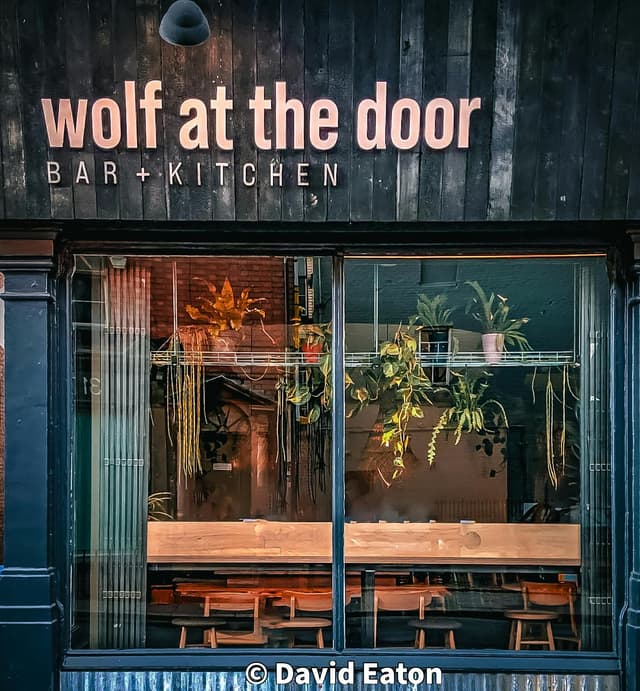 Wolf At The Door