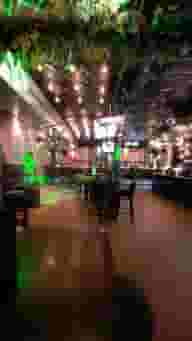 Pubs & Bars