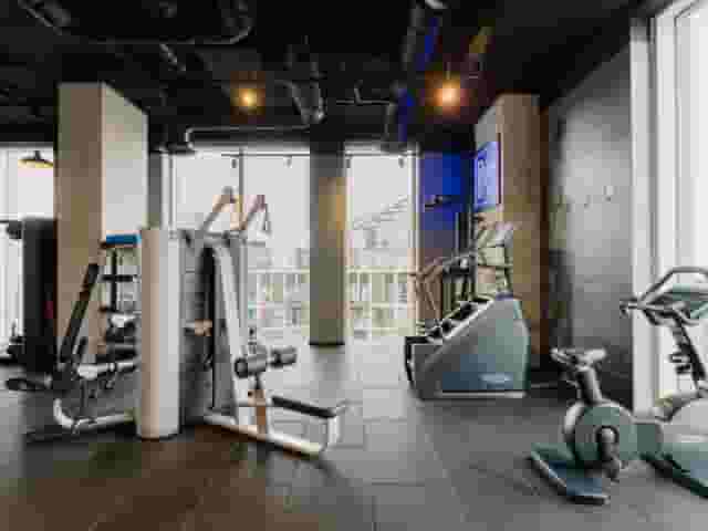 Angel Gardens