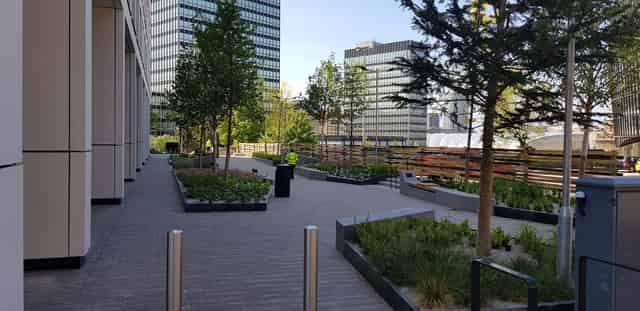 Angel Gardens