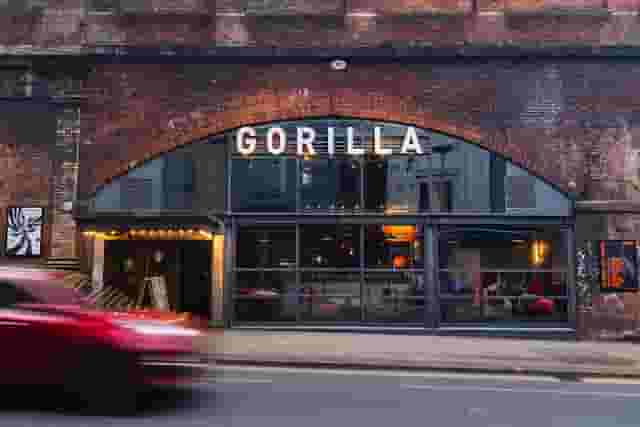 Gorilla