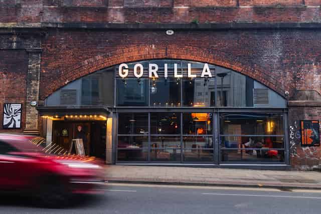 Gorilla