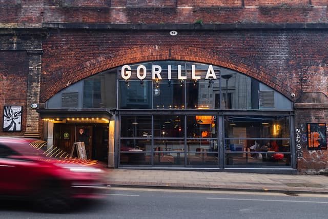 Gorilla