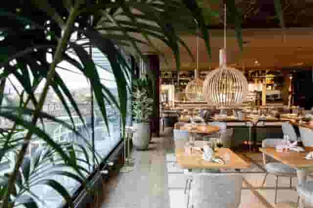 Rooftop Bar