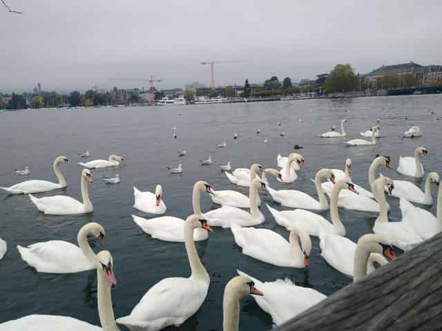 Opernhaus Zürich