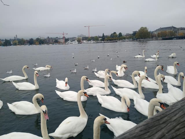 Opernhaus Zürich