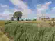 Derbyshire