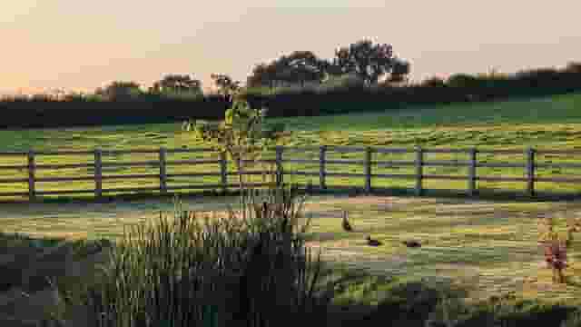 Far Coley Farm