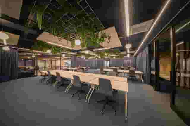 Dedicated Desks