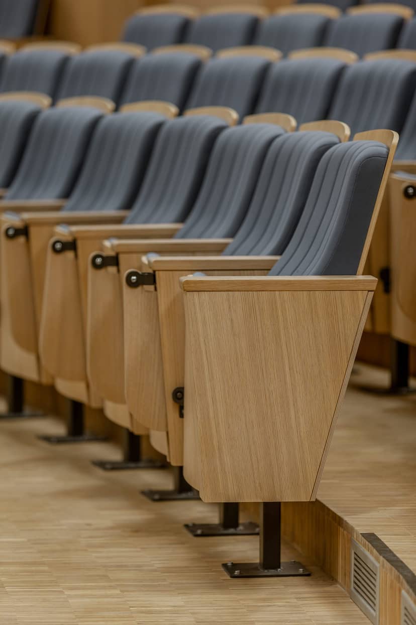 Theater-style conference room with auditorium seating for professional events and lectures.