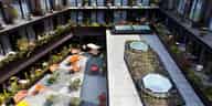 Outdoor Terraces