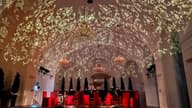 Party Venues