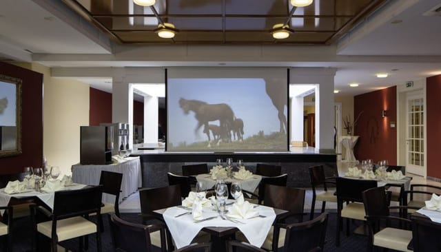Austria Trend Hotel Ananas conference room for corporate events and seated dining.