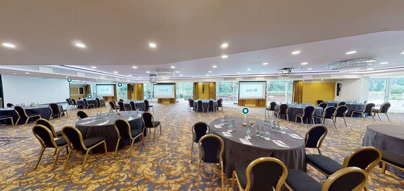 Radisson Blu Dublin ballroom set for corporate conference or banquet event.