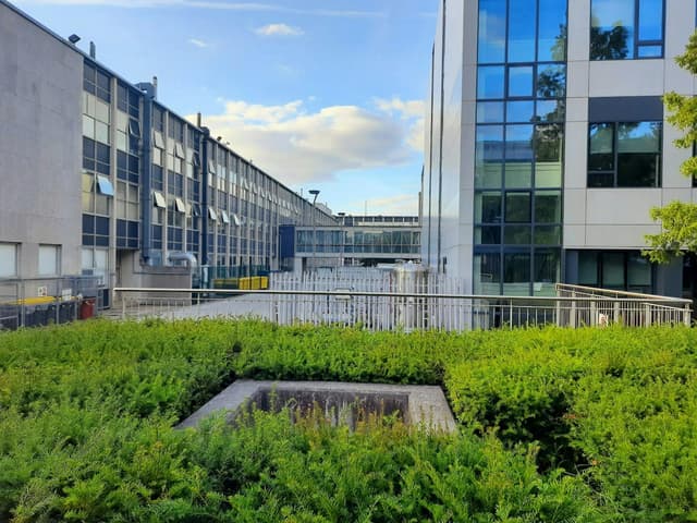 O'Brien Centre for Science