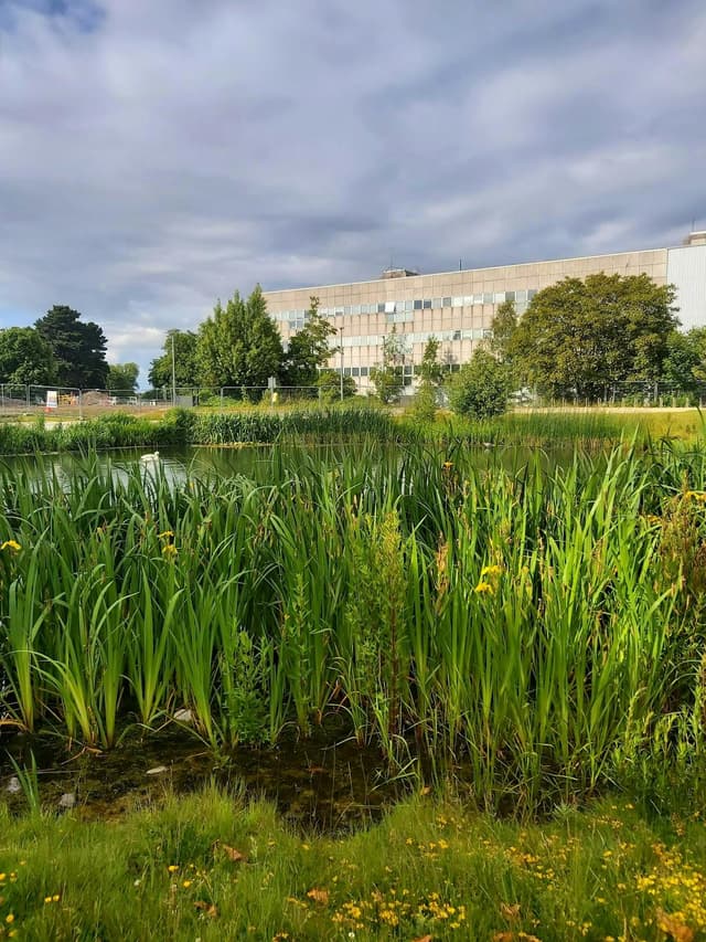 University College Dublin