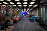 Reception Drinks Venues